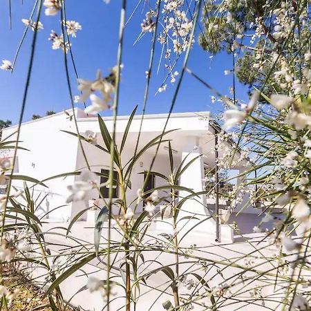 Casina Anna Maria Villa Francavilla Fontana Eksteriør billede