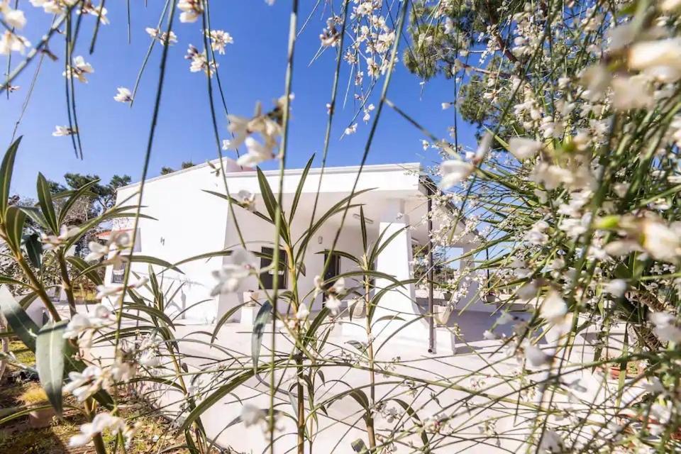 Casina Anna Maria Villa Francavilla Fontana Eksteriør billede